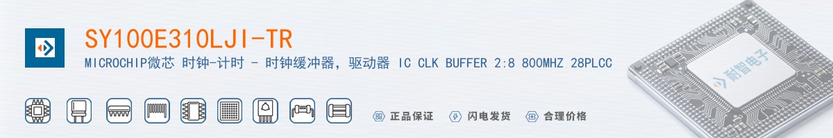 SY100E310LJI-TR������