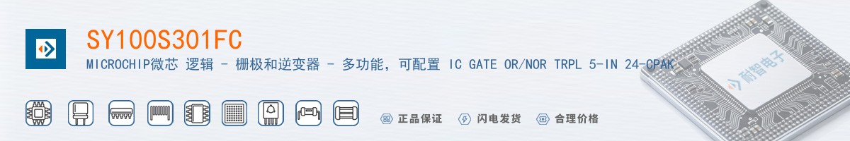 SY100S301FC������