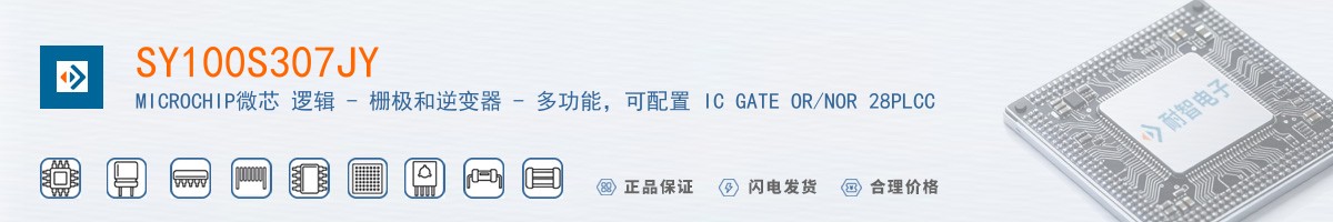 SY100S307JY������