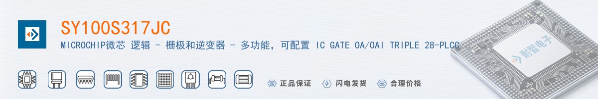 SY100S317JC������