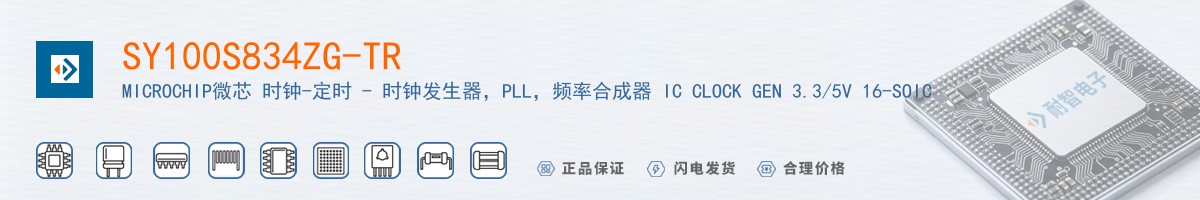 SY100S834ZG-TR������