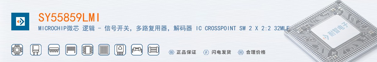 SY55859LMI������