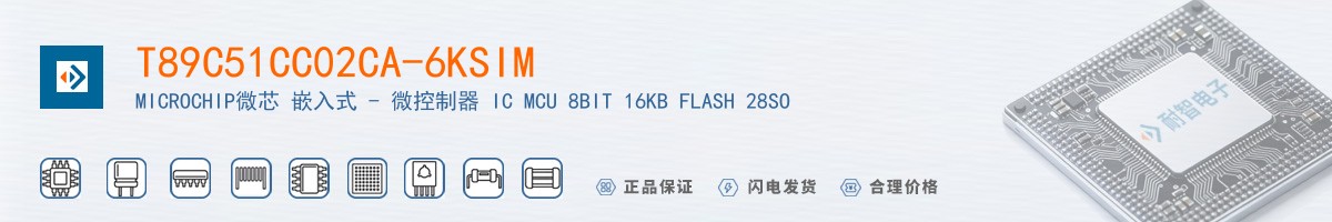 T89C51CC02CA-6KSIM������