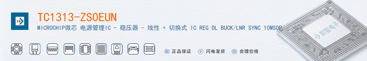 TC1313-ZS0EUN������