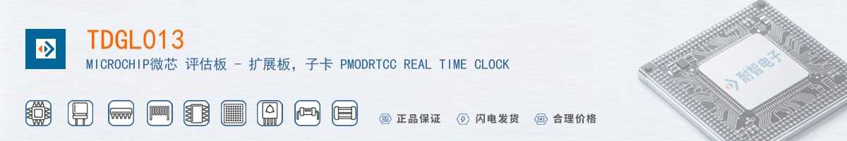 TDGL013������