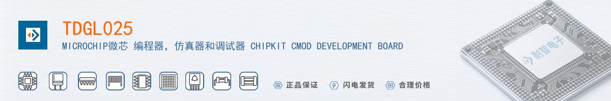 TDGL025������