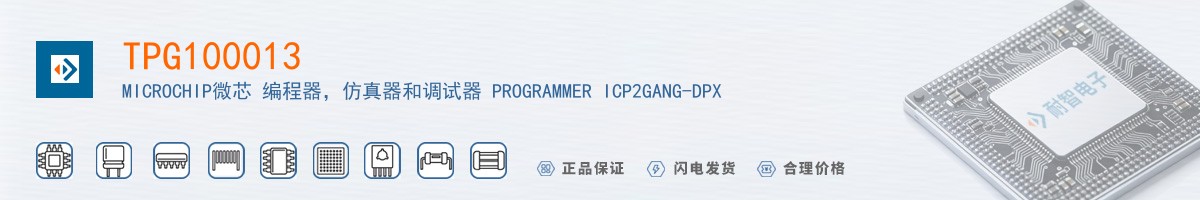 TPG100013������