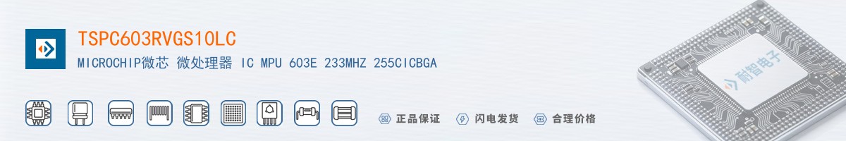 TSPC603RVGS10LC������