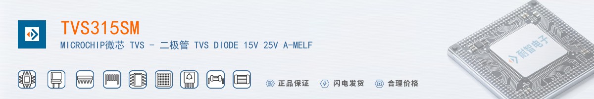 TVS315SM������