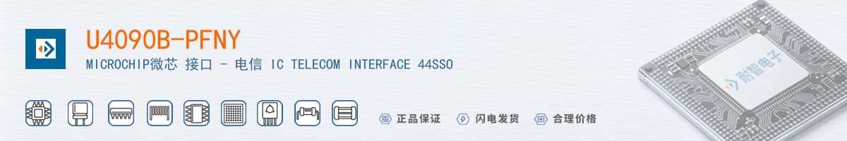 U4090B-PFNY������