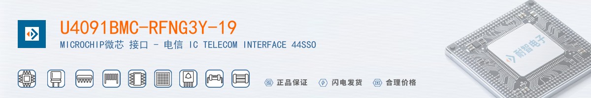 U4091BMC-RFNG3Y-19������