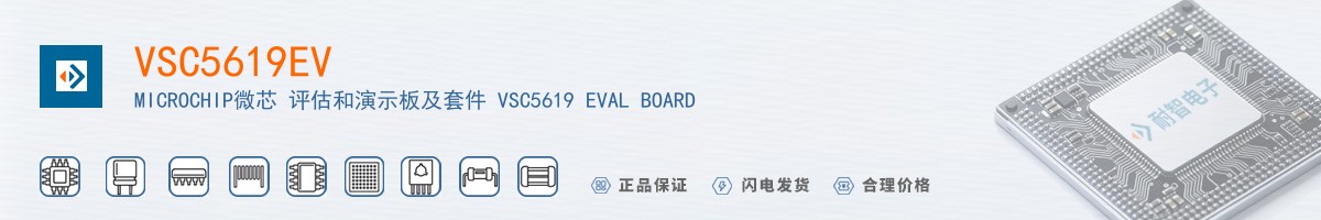 VSC5619EV������