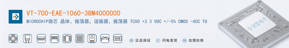 VT-700-EAE-1060-38M4000000������