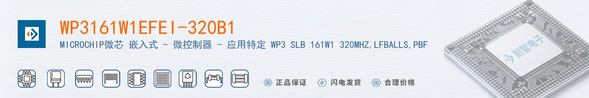 WP3161W1EFEI-320B1������