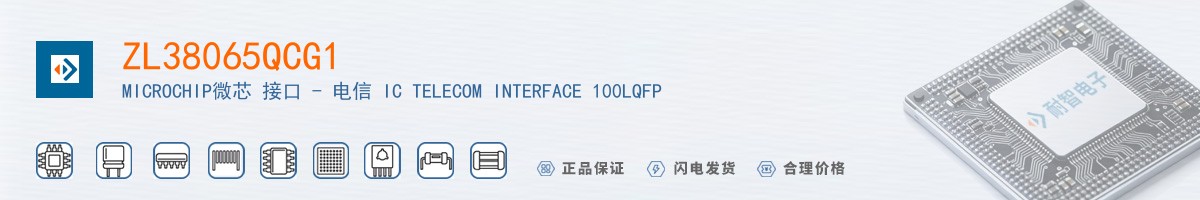 ZL38065QCG1������