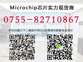 ϵMicrochip