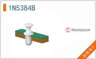 1N5384B