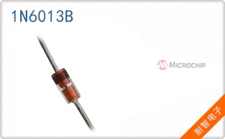 1N6013B