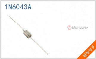 1N6043A