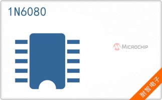 1N6080