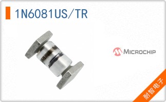 1N6081US/TR