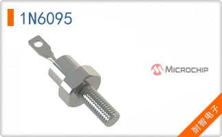 1N6095