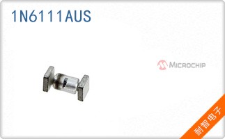 1N6111AUS