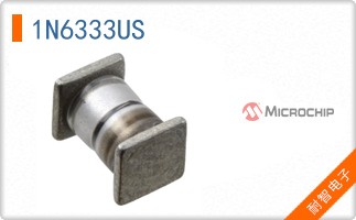 1N6333US