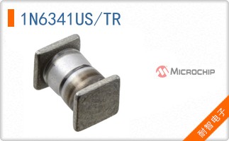 1N6341US/TR