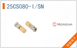 25CS080-I/SN