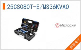 25CS080T-E/MS36KVAO