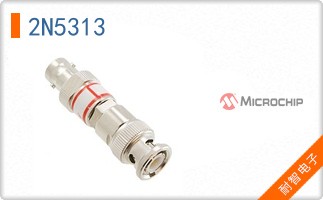 2N5313