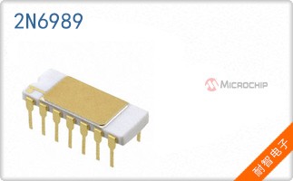 2N6989