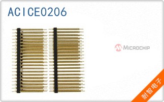 ACICE0206