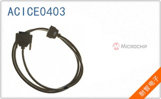 ACICE0403