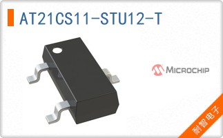 AT21CS11-STU12-T