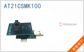 AT21CSMK100