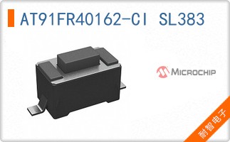 AT91FR40162-CI SL383