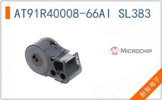 AT91R40008-66AI SL383