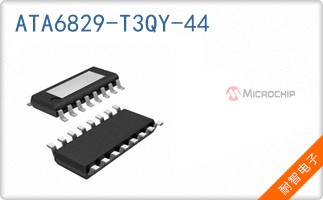 ATA6829-T3QY-44