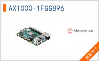 AX1000-1FGG896