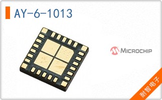 AY-6-1013