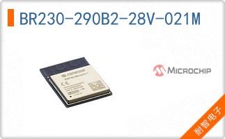 BR230-290B2-28V-021M