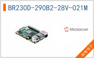 BR230D-290B2-28V-021M
