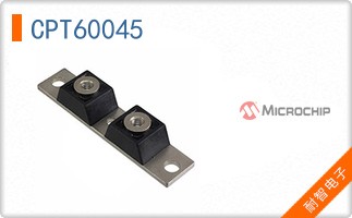 CPT60045