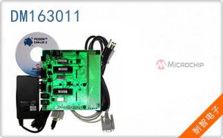 DM163011