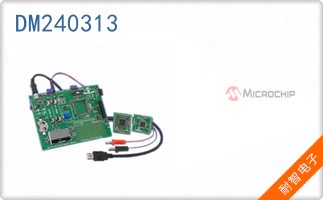 DM240313
