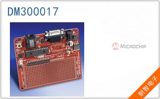 DM300017