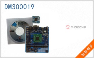 DM300019