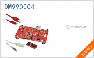 DM990004